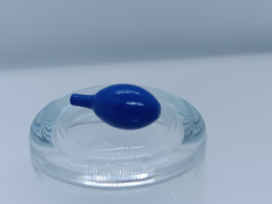 Article Prune - LE VERGER