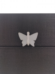 Article Papillon chatouilleur - DOCTEUR MABOUL