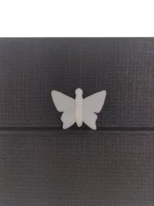 Article Papillon chatouilleur - DOCTEUR MABOUL