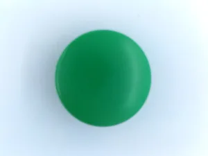 Article Vert - COLORINO